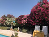 French property for sale in Servian, Hérault - €290,000 - thumbnail 9