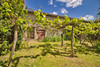French property for sale in Berthegon, Vienne - €335,000 - thumbnail 9