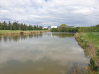 Lacs à vendre à Grez-en-Bouère, Mayenne - 88 000 € - photo 6