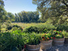 French property for sale in Clermont-l'Hérault, Hérault - €385,000 - thumbnail 14