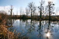 Lacs à vendre à La Rochebeaucourt-et-Argentine, Dordogne - 17 350 € - photo 1