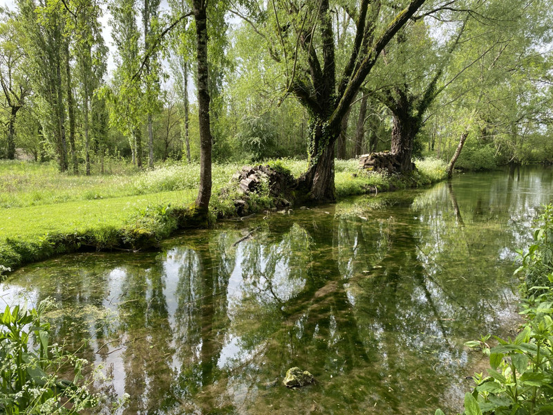 French property for sale in Monsaguel, Dordogne - €760,300 - photo 14