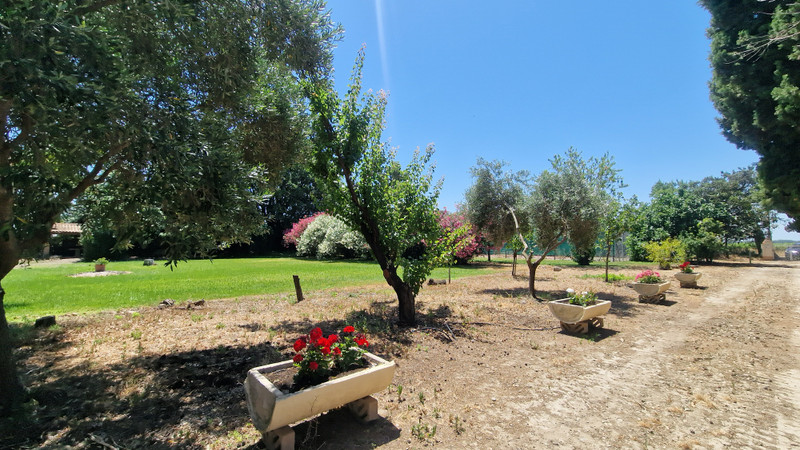 French property for sale in Argeliers, Aude - €290,000 - photo 3