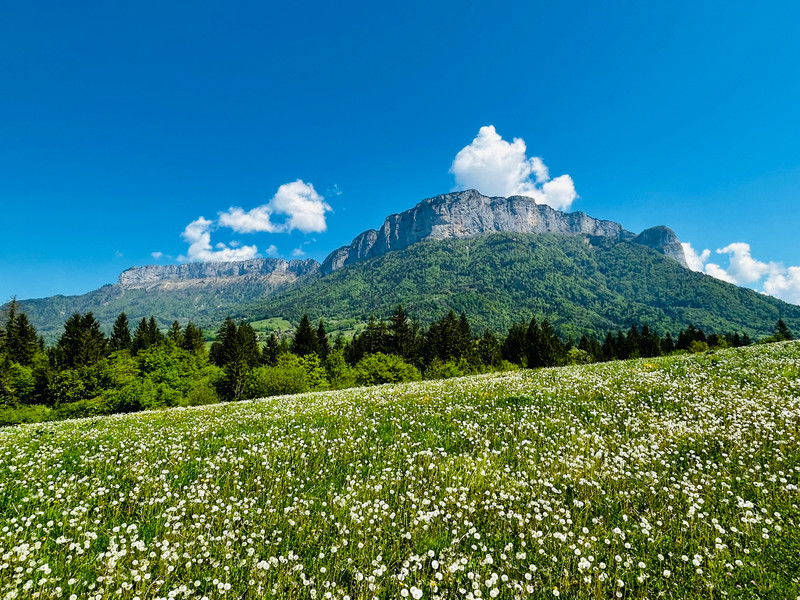 French property for sale in Veyrier-du-Lac, Haute-Savoie - €691,600 - photo 9