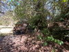 French property for sale in Chaillac, Indre - €49,900 - thumbnail 9