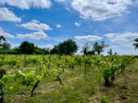 Maison à vendre à Rouillac, Charente - 267.500 € - photo 3