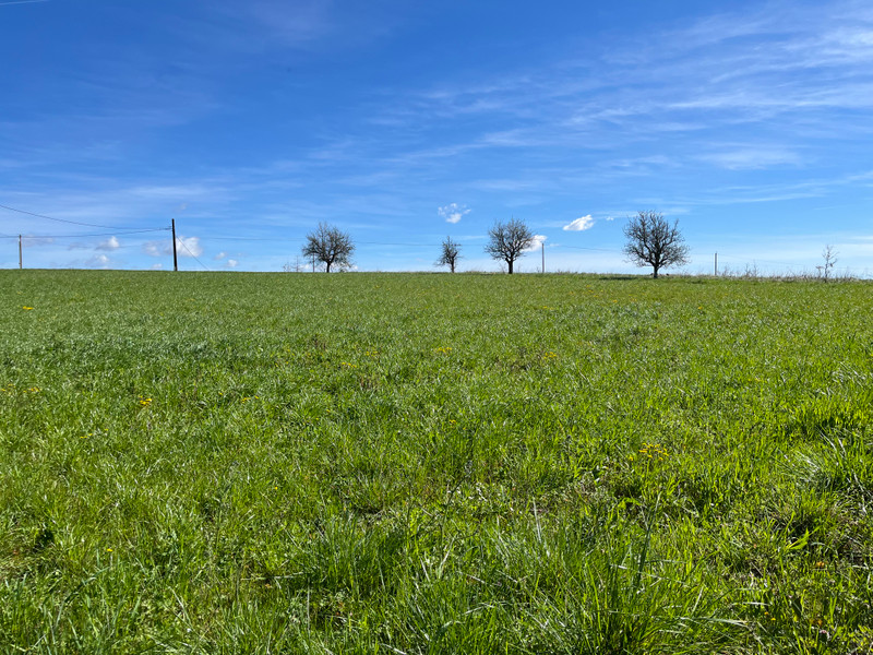 French property for sale in Brassac, Tarn-et-Garonne - €160,000 - photo 13