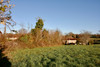 French property for sale in Écuras, Charente - €21,600 - thumbnail 14
