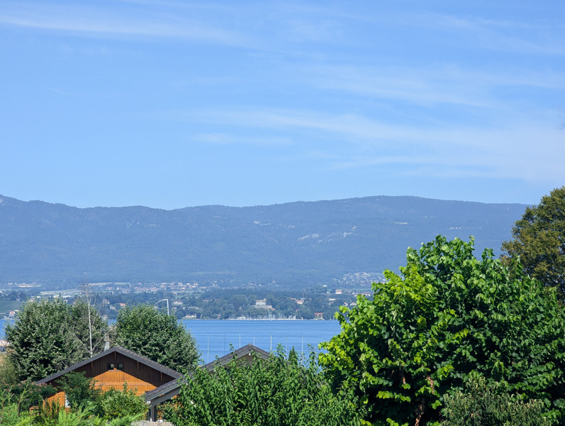 French property for sale in Nernier, Haute-Savoie - €1,029,000 - photo 3