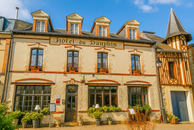 commercial for sale in Orne