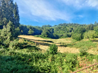 Propriété à vendre à La Roche-Canillac, Corrèze - 61 600 € - photo n°3