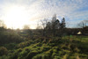 French property for sale in Confolens, Charente - €79,000 - thumbnail 4