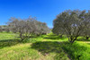French property for sale in Roussillon, Vaucluse - €975,000 - thumbnail 9