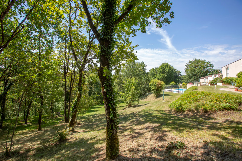 French property for sale in Bouteilles-Saint-Sébastien, Dordogne - €89,500 - photo 13