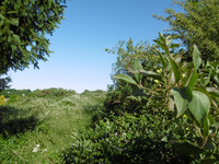 Terrain à vendre à Gorron, Mayenne - 91.500 € - photo 11