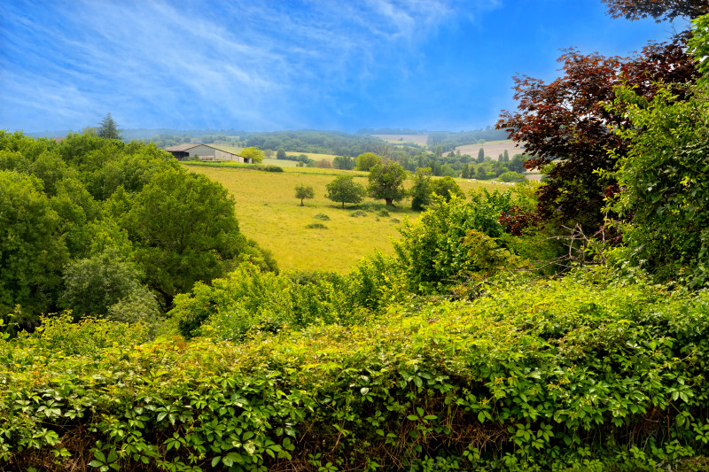 French property for sale in Montmoreau, Charente - €165,000 - photo 2