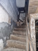 French property for sale in Chabanais, Charente - €24,000 - thumbnail 7
