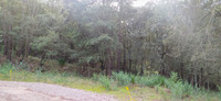 Terrain à vendre à Palaja, Aude - 103.335 € - photo 2