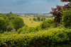 French property for sale in Montmoreau, Charente - €175,000 - thumbnail 9
