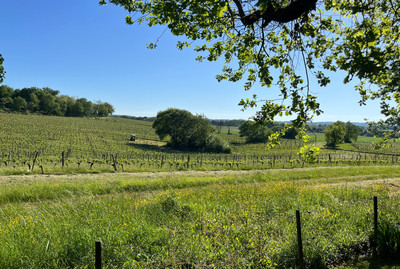 French property for sale in Margueron, Gironde - €99,000 - photo 6