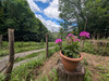 French property for sale in Labastide-Rouairoux, Tarn - €70,000 - thumbnail 14