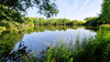 French property for sale in Saint-André-de-Double, Dordogne - €54,600 - thumbnail 11