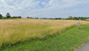 French property for sale in Anglade, Gironde - €191,000 - thumbnail 9