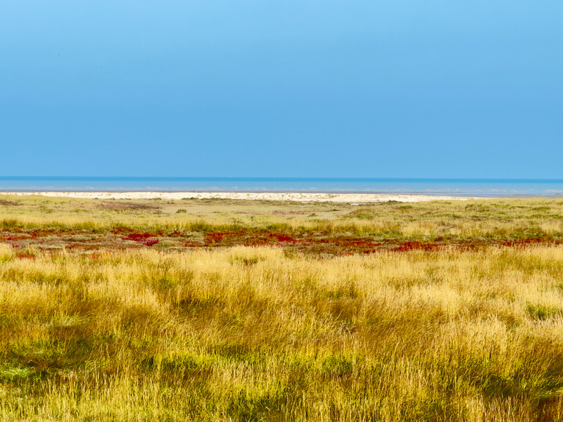 French property for sale in Cherrueix, Ille-et-Vilaine - €445,000 - photo 5