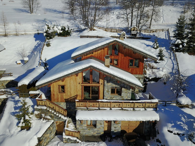 Ski property for sale in  - €3,500,000 - photo 2