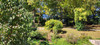 French property for sale in Charroux, Vienne - €235,400 - thumbnail 9