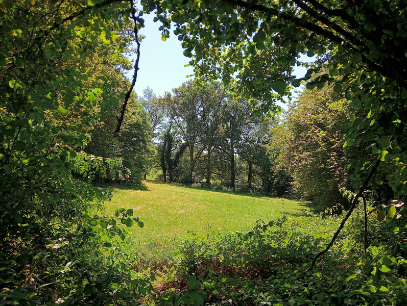 French property for sale in Marcillac-la-Croisille, Corrèze - €278,200 - photo 4