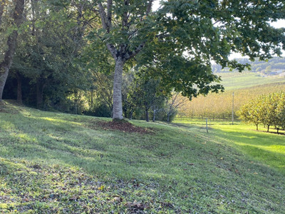 French property for sale in Monflanquin, Lot-et-Garonne - €239,999 - photo 12
