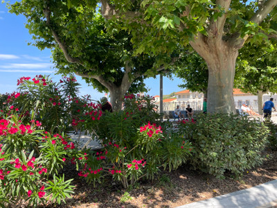 French property for sale in Port-Vendres, Pyrénées-Orientales - €425,000 - photo 10