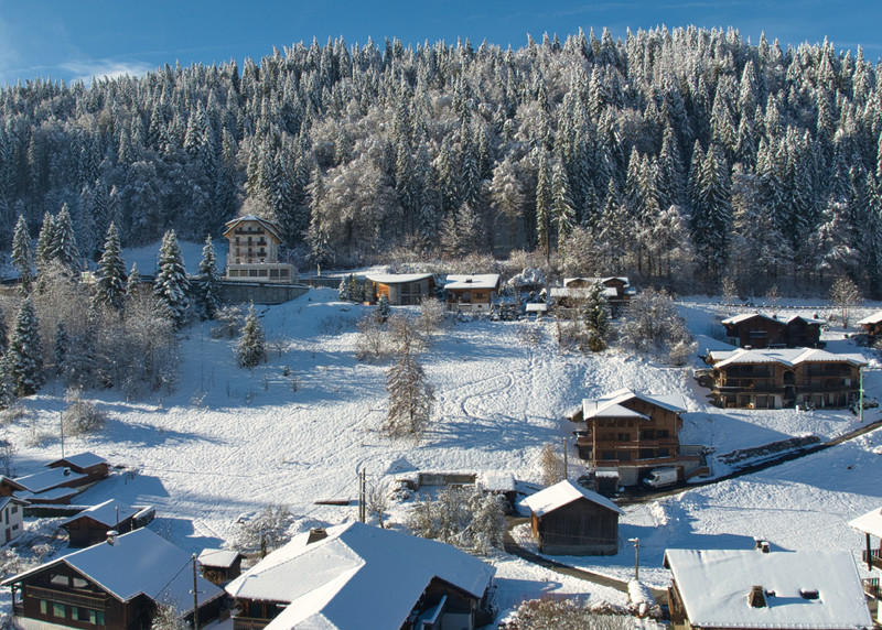 Propriété de ski à vendre - Morzine - 1 300 000 € - photo 2