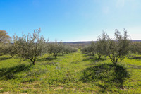 Terrain à vendre à Uzès, Gard - 130.000 € - photo 4