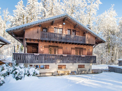 Propriété de Ski à vendre - Morillon - 938 500 € - photo 0