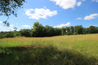 French property for sale in Saint-Félix-de-Villadeix, Dordogne - €83,600 - photo 3