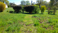 Terrain à Le Bugue, Dordogne - photo 5