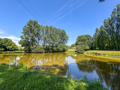 French property for sale in Breuil-Barret, Vendée - €41,600 - photo 11