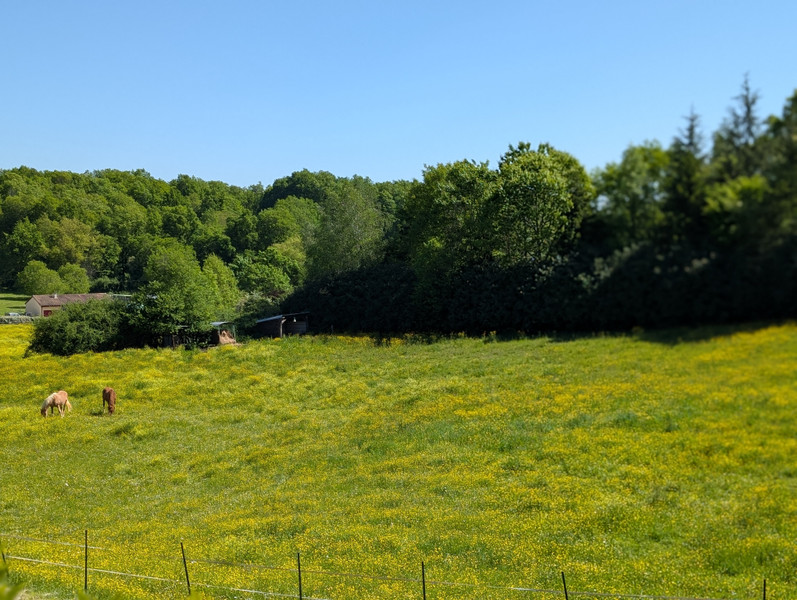 French property for sale in Limeuil, Dordogne - €260,000 - photo 4