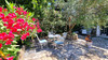 French property for sale in Ginestas, Aude - €665,000 - thumbnail 14