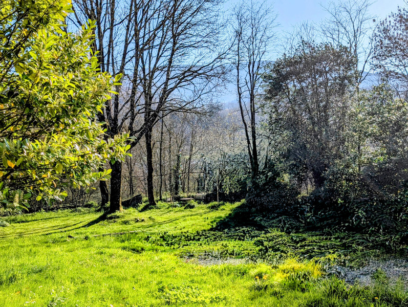 French property for sale in Labastide-Rouairoux, Tarn - €287,000 - photo 4