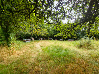 French property for sale in Saint-Martin-Lars-en-Sainte-Hermine, Vendée - €345,000 - photo 12