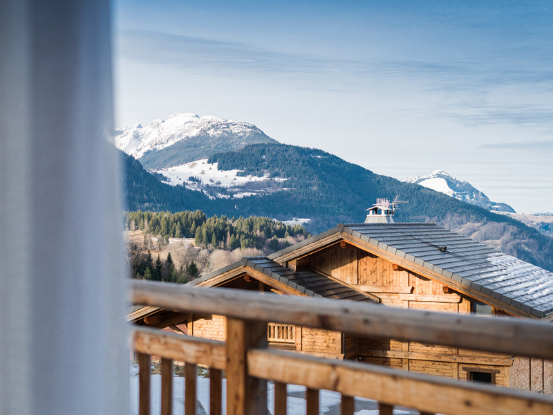 Ski property for sale in Les Carroz - €1,325,000 - photo 10