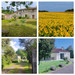 French property for sale in Villiers-le-Roux, Charente - €277,000 - thumbnail 9
