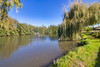 French property for sale in Le Grand-Lucé, Sarthe - €240,000 - thumbnail 9