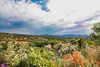 French property for sale in Lodève, Hérault - €320,000 - thumbnail 14