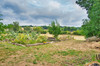 French property for sale in Saint-Pastour, Lot-et-Garonne - €214,000 - thumbnail 9