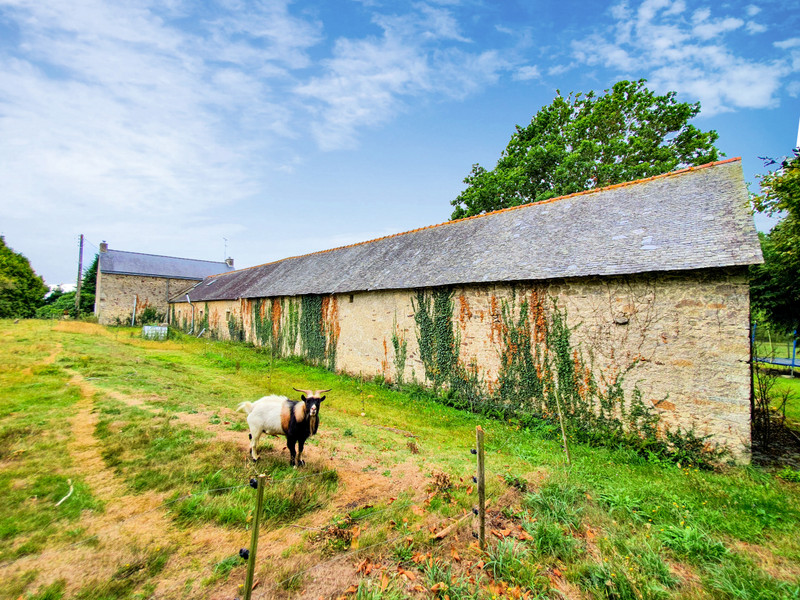 House for sale in NoyalPontivy Morbihan Beautiful restored stone