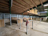 French property for sale in Aubigné, Deux-Sèvres - €1,800,000 - thumbnail 9
